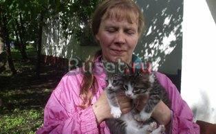 Котята в добрые руки Москва