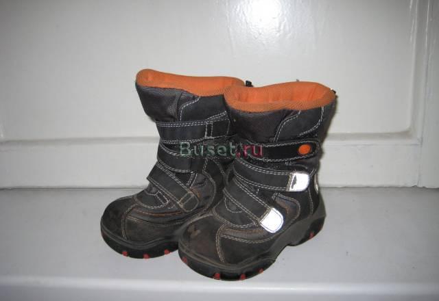 Сапожки Антилопа Москва