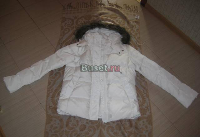 Куртки Calvin Klein Санкт-Петербург