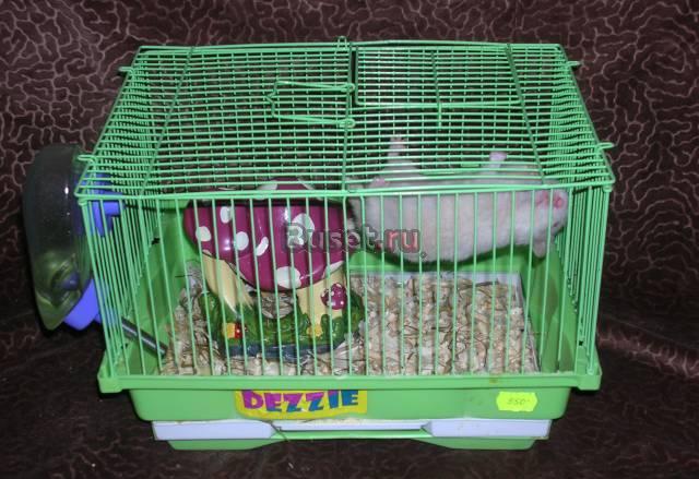 Хомяк с клеткой Москва