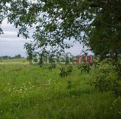 Участок у реки Волхов 150 км от  спб д. Платишно Кириши