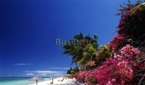 Отдыхайте с нами Санкт-Петербург