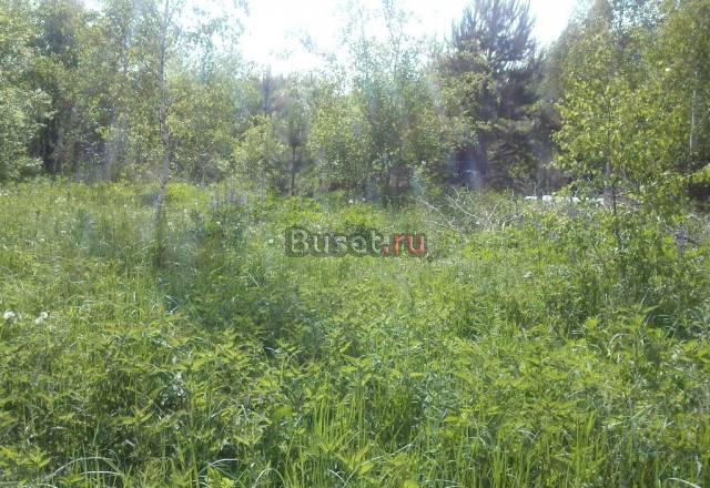 Участок 8 соток в СНТ, 85 км от МКАД Москва