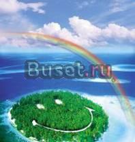 Нужно 2 шины Санкт-Петербург
