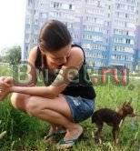 Мини собачки и их щенки Москва