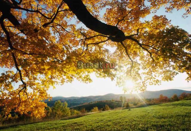 Магия и целительство Мурманск