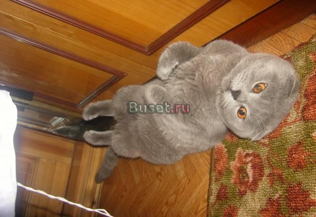 Приглашаем Барнаул