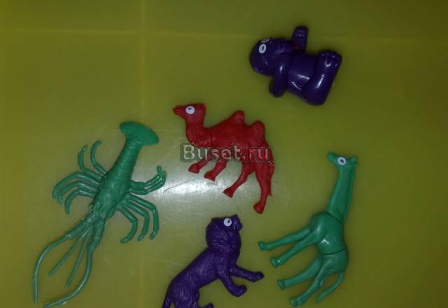 Звери Москва