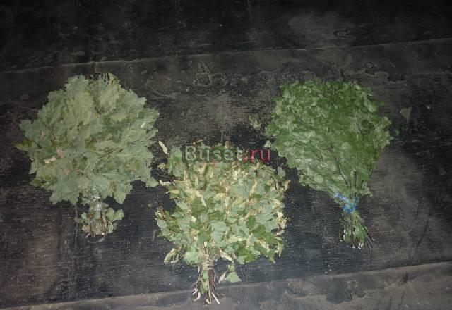 Веники для бани Москва