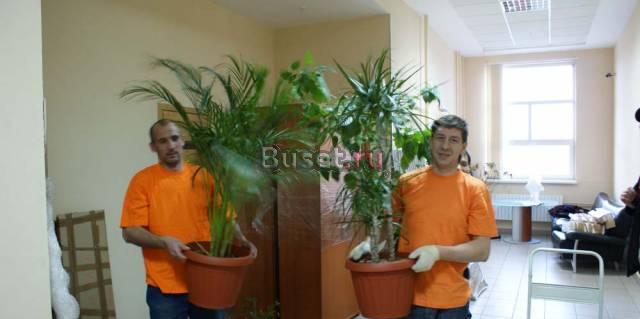 Бережный и Недорогой Квартирный Переезд Москва