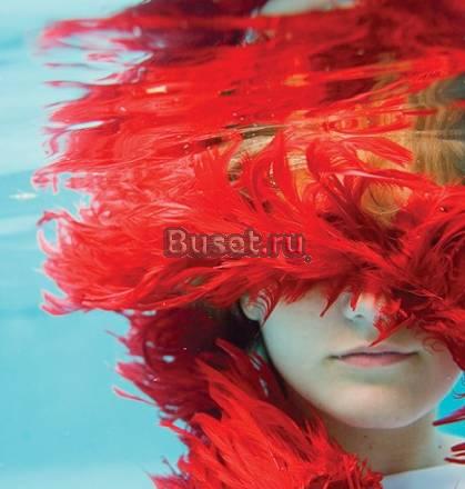 Отдам практически даром Москва