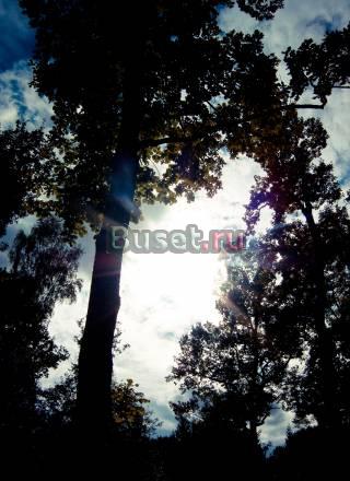 MediaEditing Москва