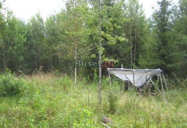 Участок Тосненский р-н Санкт-Петербург