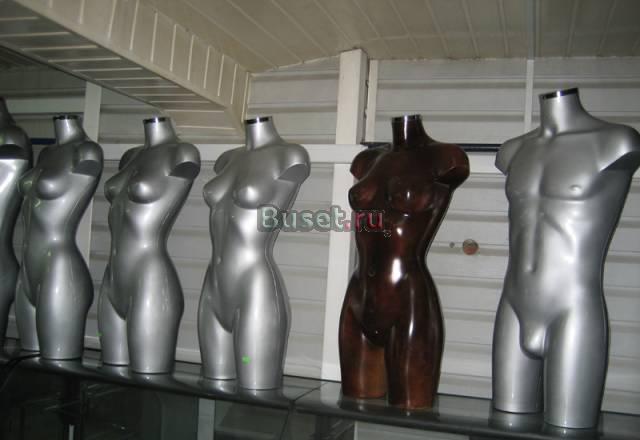 Торсы мужские и женские Москва