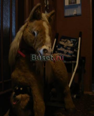 Интерактивная пони Ириска Москва