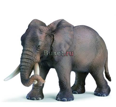 Новые звери фирмы "schleich" Germany Москва