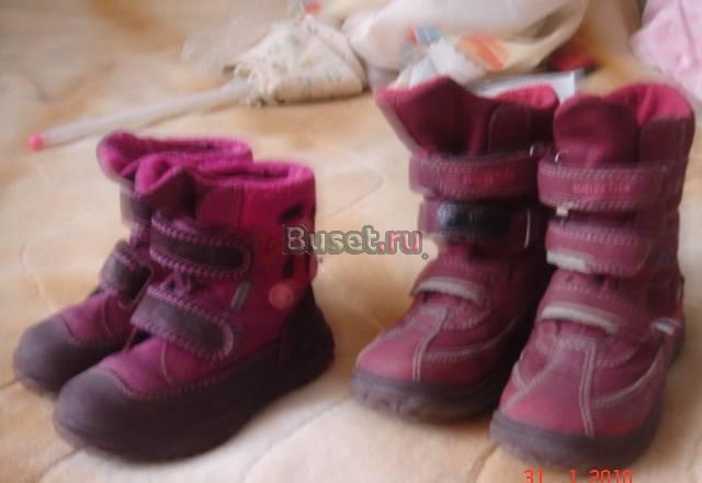 Суперфиты фуксия ,зима Москва