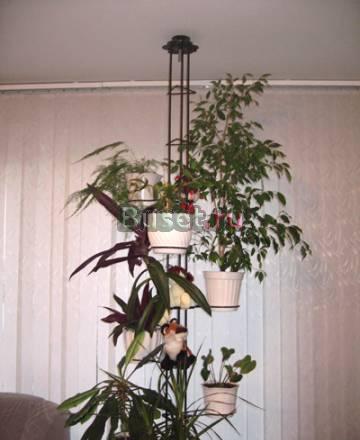 Стойка/подставка для цветов Москва