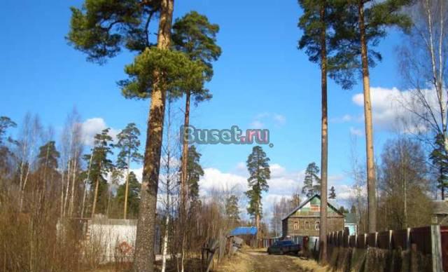Всеволожск,Приютино, участок ижс-9.67 сот Всеволожск