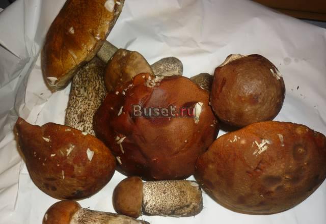 Свежая черноплодная рябина, свежие грибы Санкт-Петербург