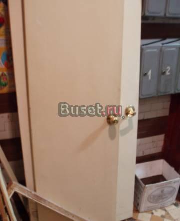 Двери 2 шт  (100 дерево) Москва