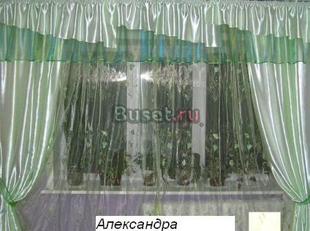 Большой выбор штор и покрывал от производителя Москва