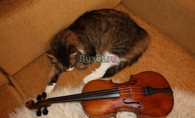 Скрипка 3/4 немецкая мануфактура Москва