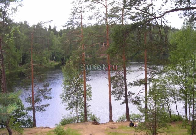 8,07 сот. в Зеленогорске, эл-во, времянка, сосны Санкт-Петербург