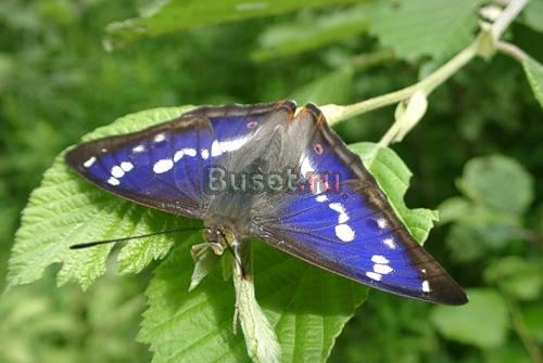 Мероприятия по охране окружающей среды (оос) Москва