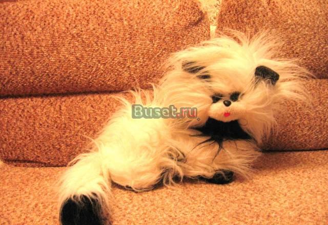 Кот (мягкий). Новый Санкт-Петербург