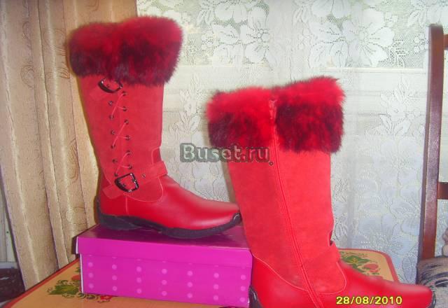 Сапоги женские Санкт-Петербург