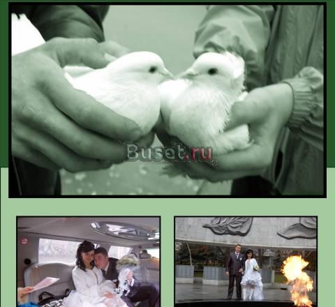 Свадебное видео ,фото, ведущая (тамада), музыканты Батайск