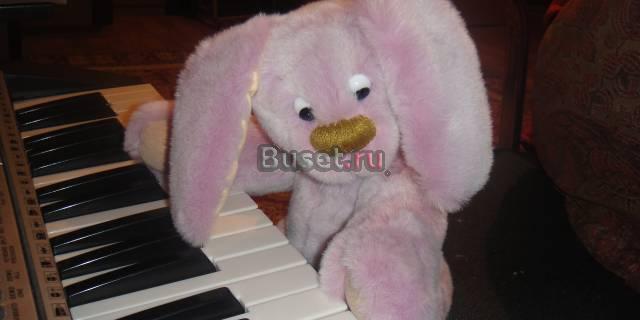 Заяц Тюмень