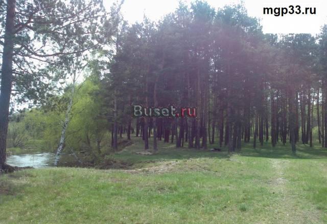Продам участок 8сот. в сосновом бору.78км от МКАД Москва