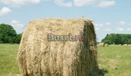 Сено в рулонах 2010 Нижний Новгород