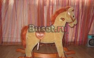 Лошадка -качалка Санкт-Петербург