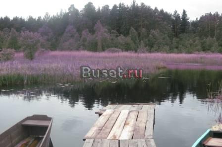 Земельный участок в п. Купанское Переславского рай Переславль-Залесский