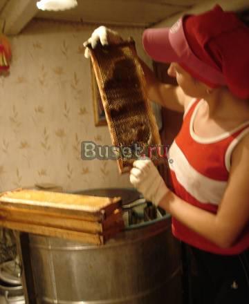 Мёд цветочный высококачественный свежий Ярославль