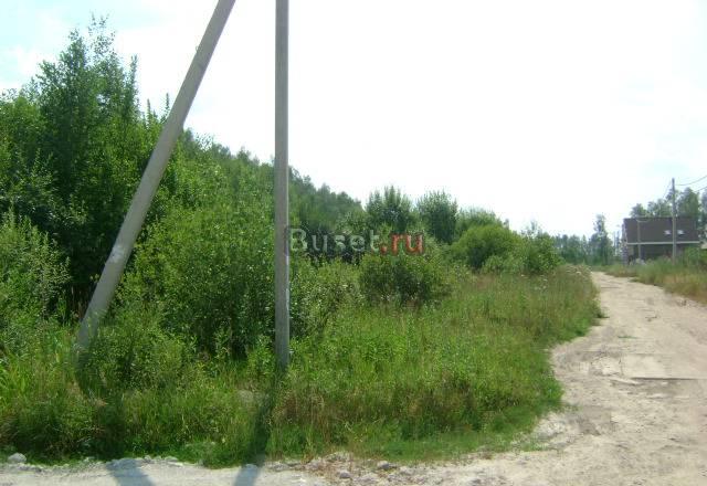 Продам лесной участок в Бритово, 30 км. от МКАД Бронницы