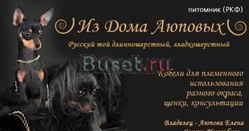 Питомник "из дома Аюповых" Санкт-Петербург