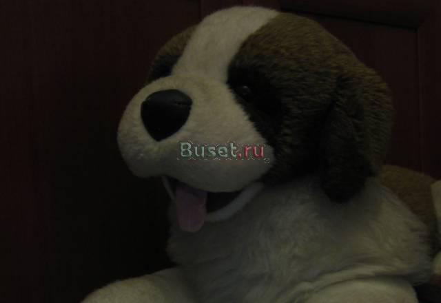 Нужна игрушка как на фотке Москва