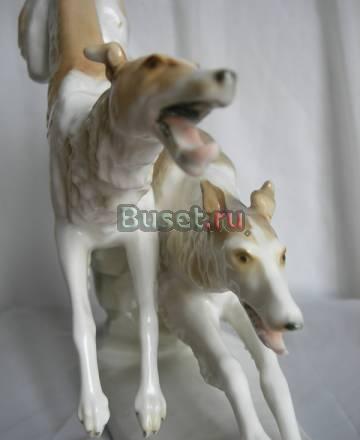 Гончие.Собаки под реставрацию Москва