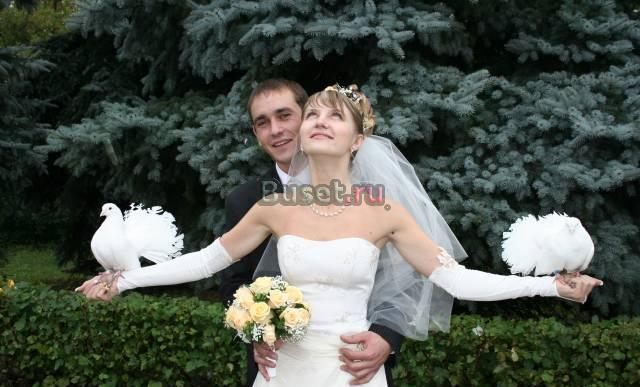 Свадебное агенство Липецк