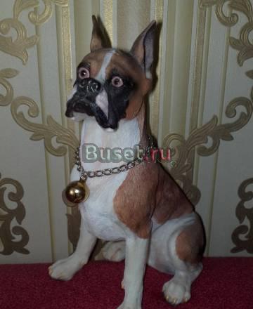 Бульдог Москва