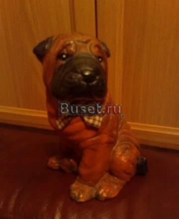 Копилка шарпей Москва