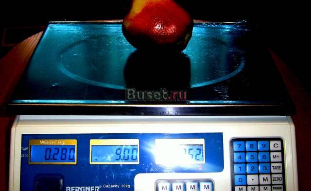 Весы электронные Воронеж