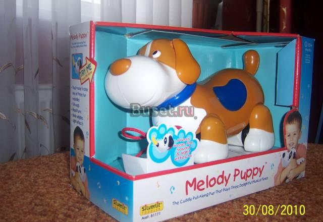 Развивающие игрушки Санкт-Петербург