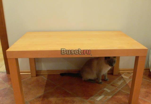 Столик чайный, низкий, березовый шпон Москва