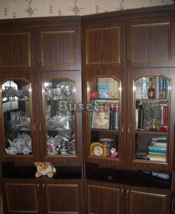 Сенка "Вега" Санкт-Петербург