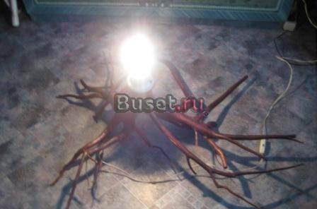 Лампа - корень Москва